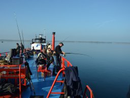 Competities HSV Alfheim